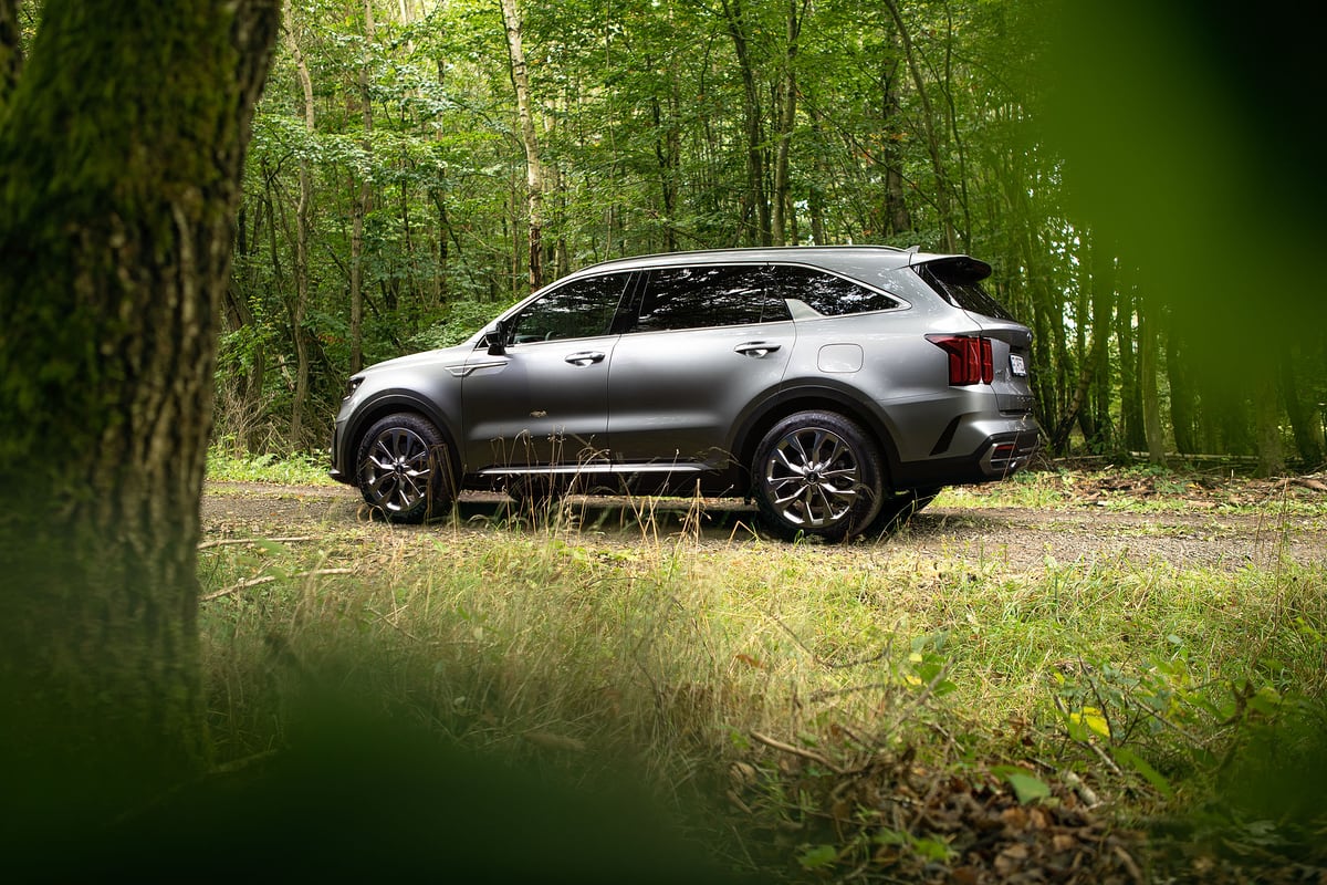 Silberner KIA Sorento auf einem Waldweg zwischen hohen Bäumen