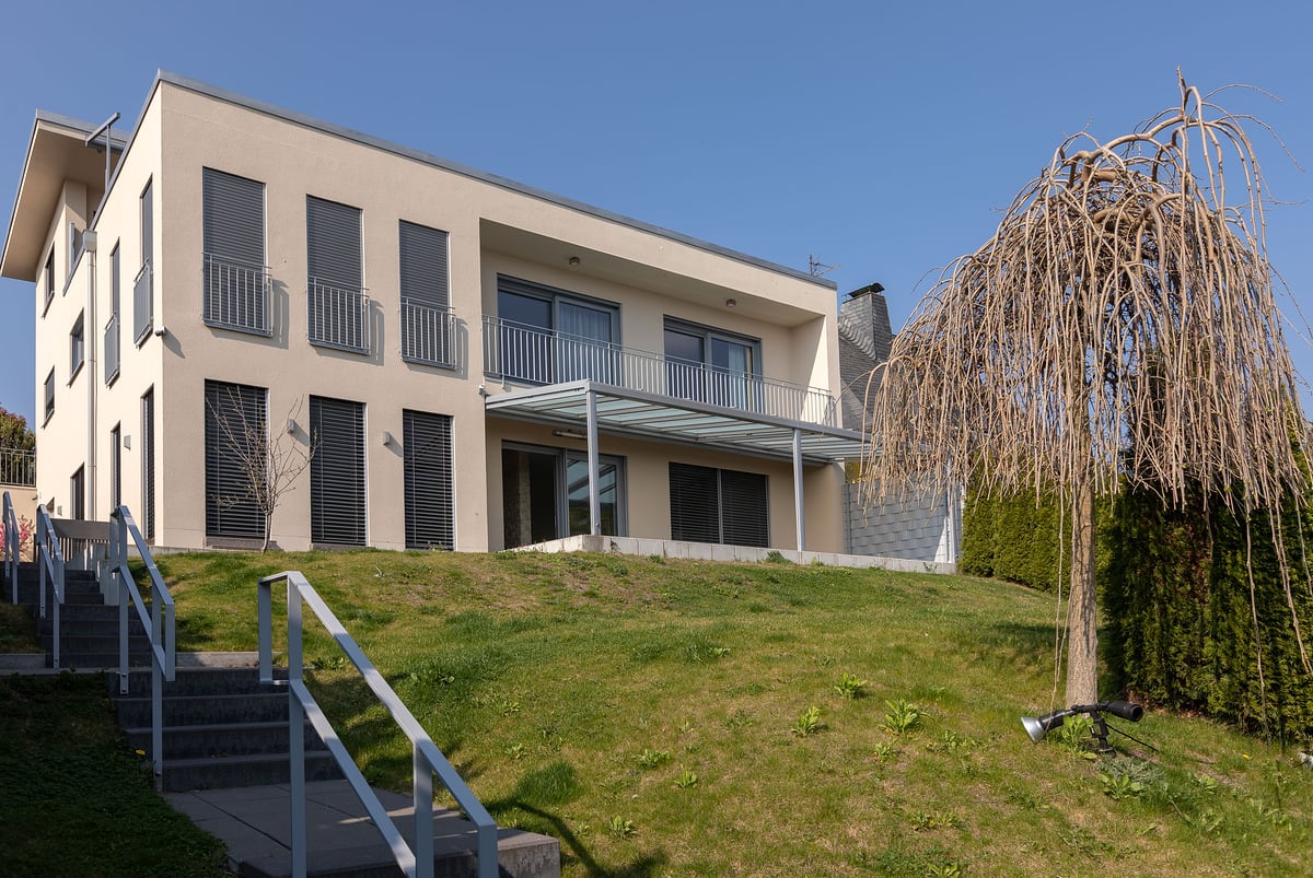 Moderne kubische Villa mit Garten und Trauerweide